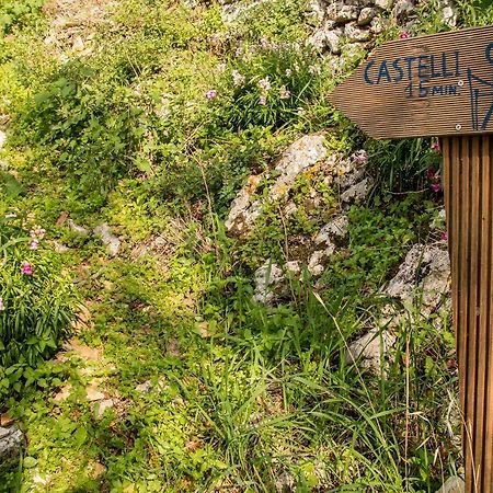Castelli Olive Press Pensionat Acharavi  Eksteriør billede